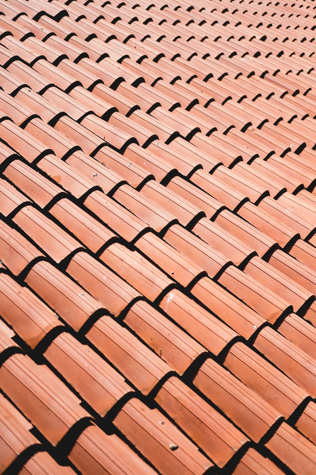 Roof shingles representing homeowners insurance roof coverage RCV vs ACV